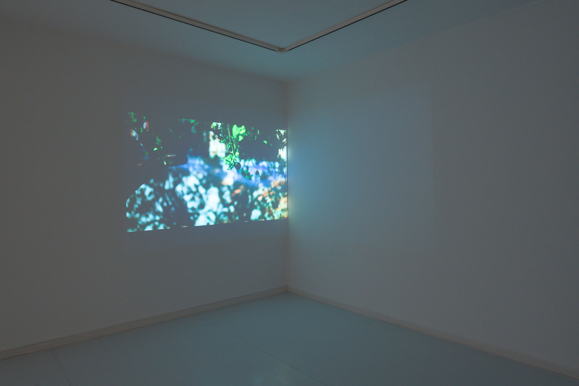 Ferdousse, Video Installation, 2023, Mouna Karray